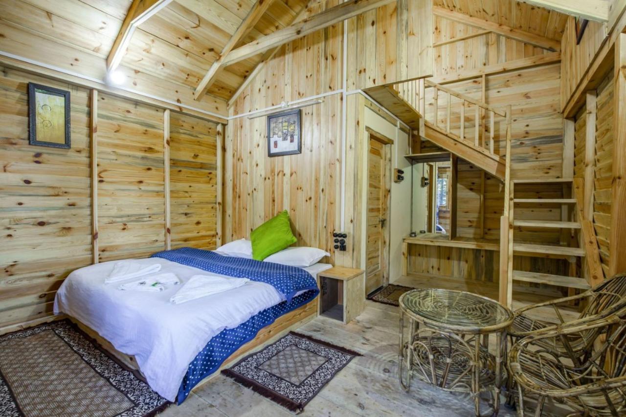 Mid Conifer Cottage Dalhousie Exterior photo